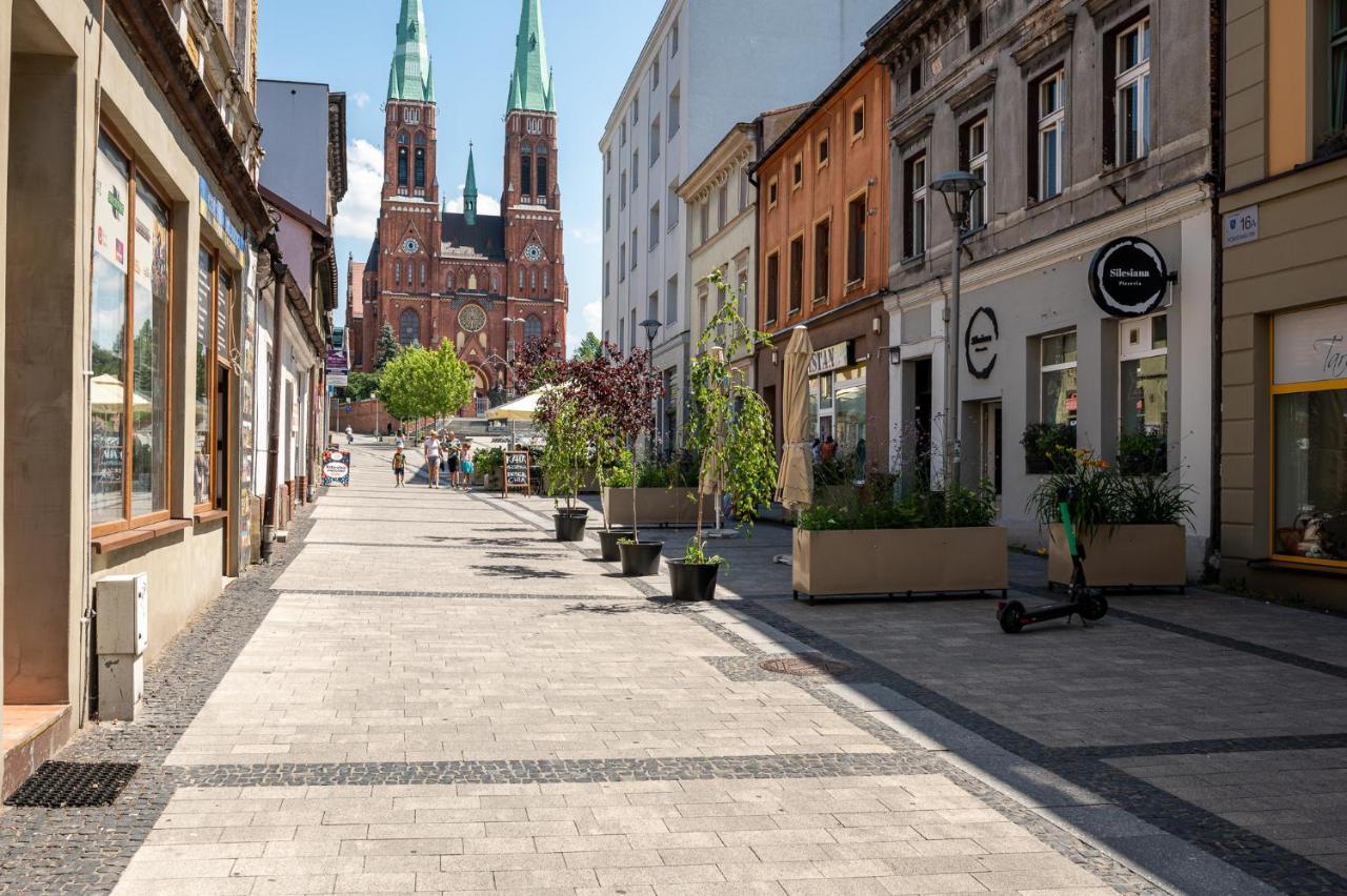 Platinum 28 Z Balkonem Apartment Rybnik (Silesia)